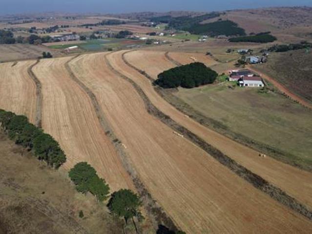 19 m² Land available in Heidelberg Outlying