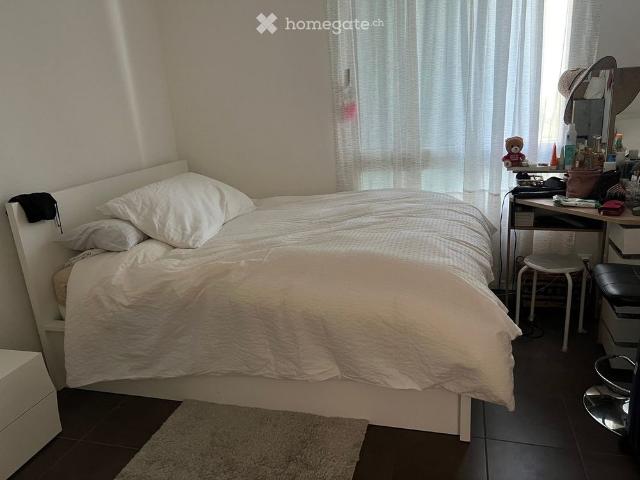 19 m²