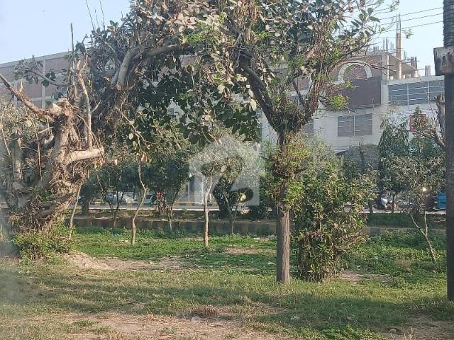 19 Marla Plot Near Lyallpur Galleria