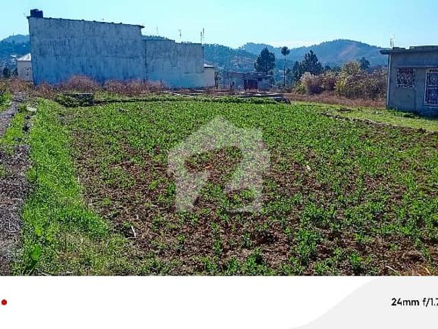 19 Marla Plot For Sale In Neelay Pair Abbottabad