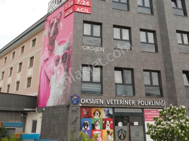 19 Mayıs Mh. Devren Kiralık Veteriner Polikliniği