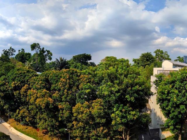 19 Nassim D10, Apartment