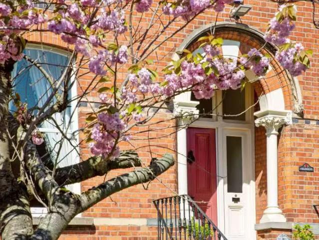 19 Northbrook Road, Dublin 6, Ranelagh, Dublin 6, D06E367 is f.