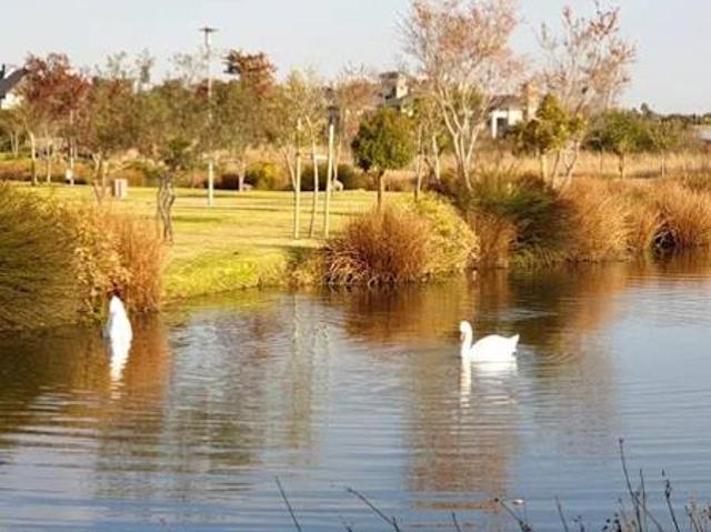 1 m² Land available in Knoppieslaagte