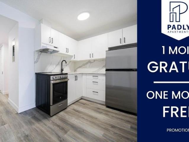 1 MOIS GRATUIT Centre ville Mtl Studio & 3 1/2 Gym, piscine… Appartement / logement à louer Montreal Ville Marie