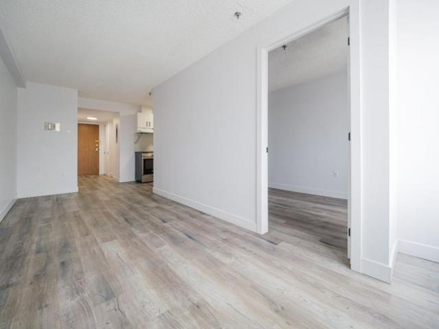 1 MOIS GRATUIT Centre ville Mtl Studio & 3 1/2 Gym, piscine… Appartement / logement à louer Montreal Ville Marie