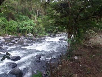 1 o 2 Hectareas en Mindo con Rio y Lago Terreno en Venta en Mindo Mindo