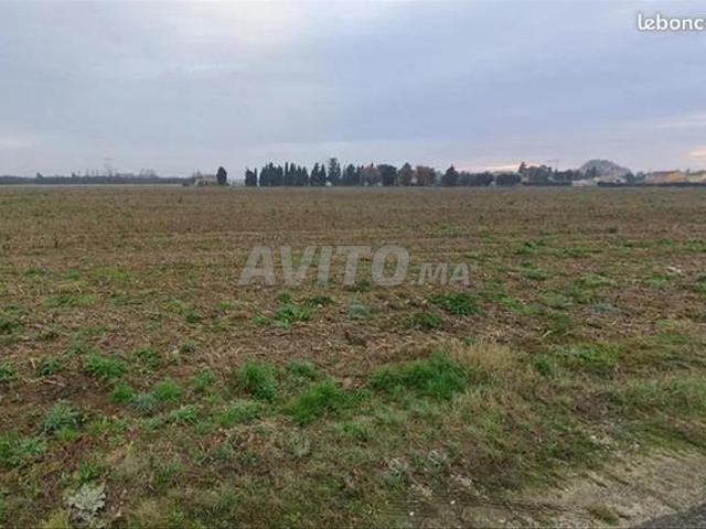 1 à 5 hectares ben ahmed