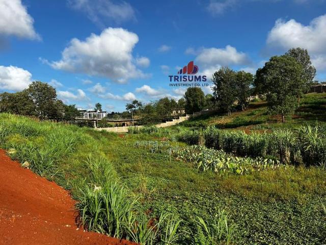 1 acre commercial plot for sale in Nyari