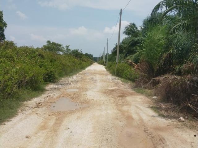 1 Acre Agriculture Tanah Kuala Selangor @ Bukit Rotan