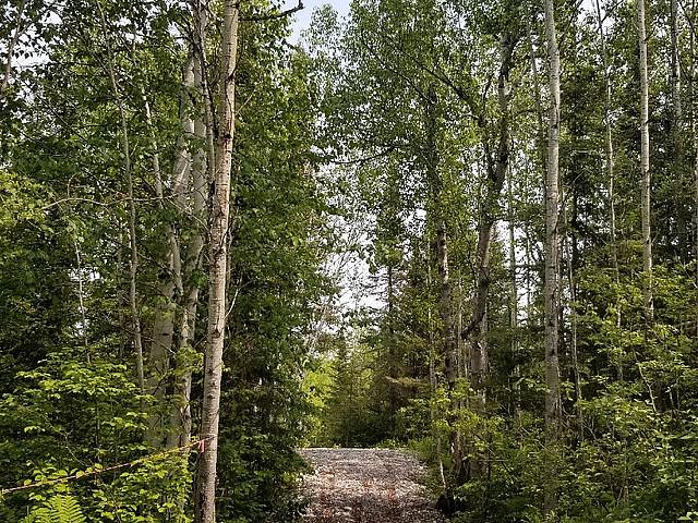 1 Acre Lot In Off grid Community
