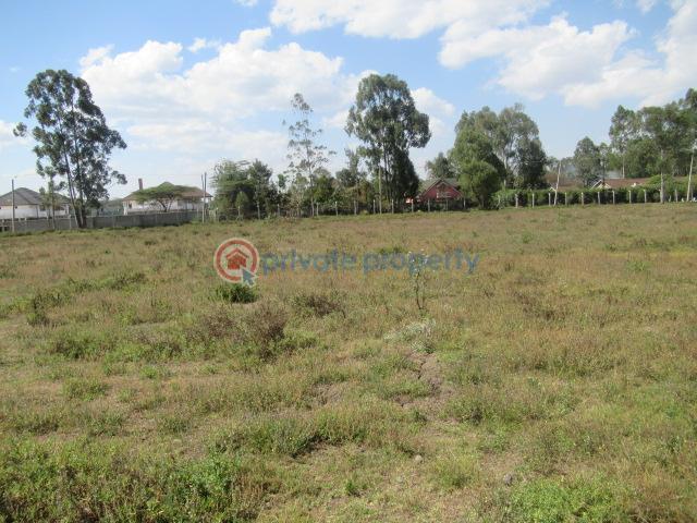 1 Acre Plots For Sale In Karen Marula Lane