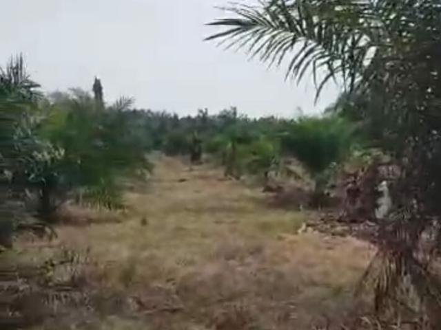 1 Acre Tanah Kuala Selangor @ Kampung Api Api