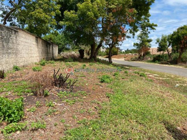 1 Acrea Bofa Beach Land For Sale