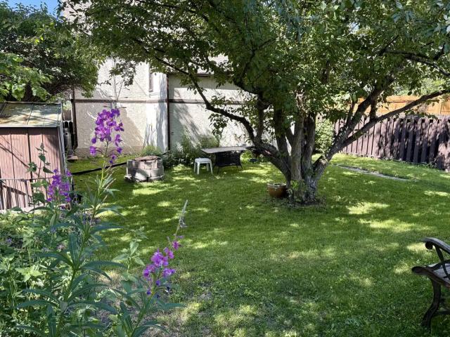 1 BDRM BSMT SUITE in MOUNTVIEW