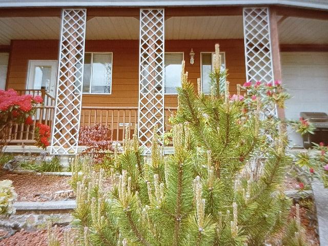 1 Bdrm Ocean View Suite