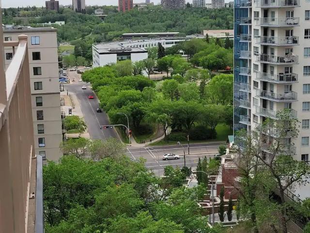 1 bdrm TOP FLOOR!