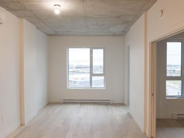 1 bed 1 bath condo