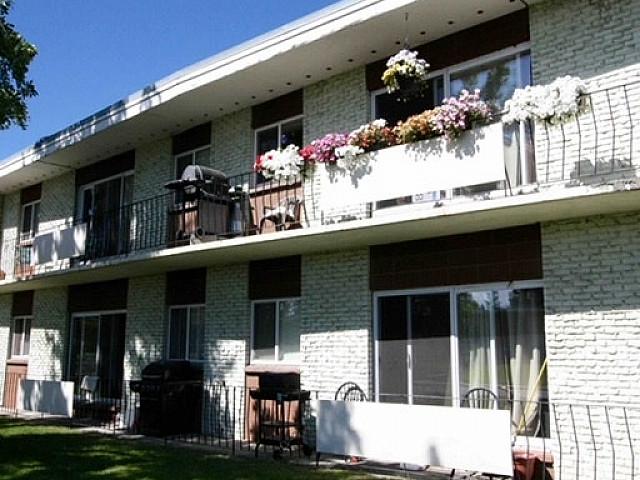 1 Bed 1 Bath Apartment In Kingsland Area