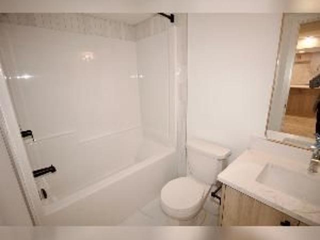 1 Bed 1 Bath Suite SE Edmonton Mattson