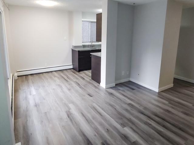 1 Bed Condo For Rent In Mission: Heat, Water, And Parking Included. 18+ Bldg