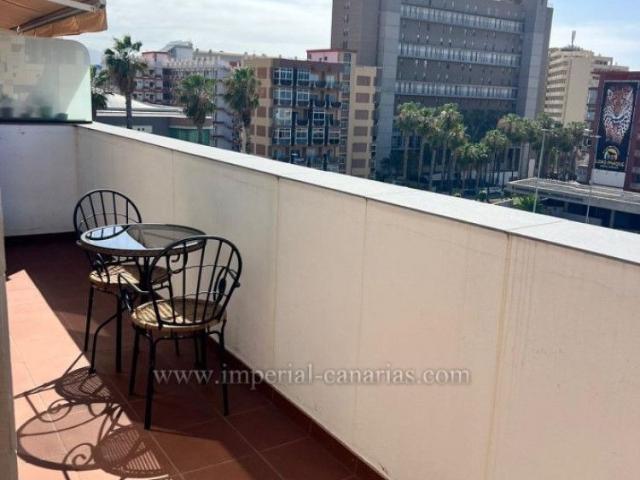 1 Bed Flat / Apartment to Rent