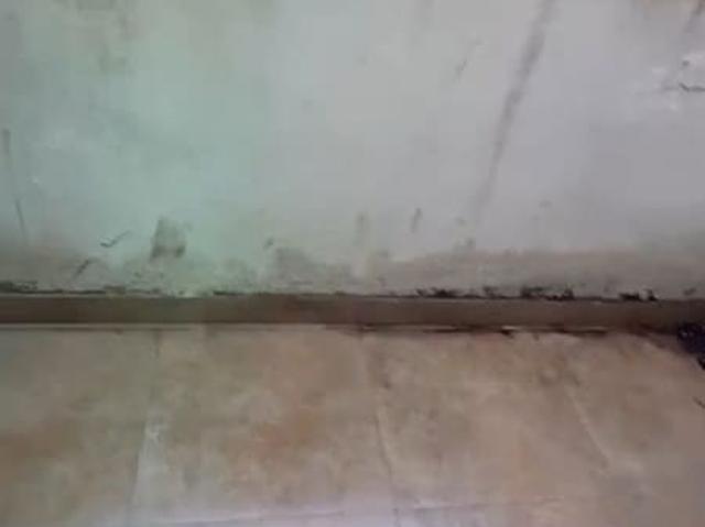 1 Bedroom 1100 Sq.Ft. Apartment in Vip Road Zirakpur Listing ID: #10208