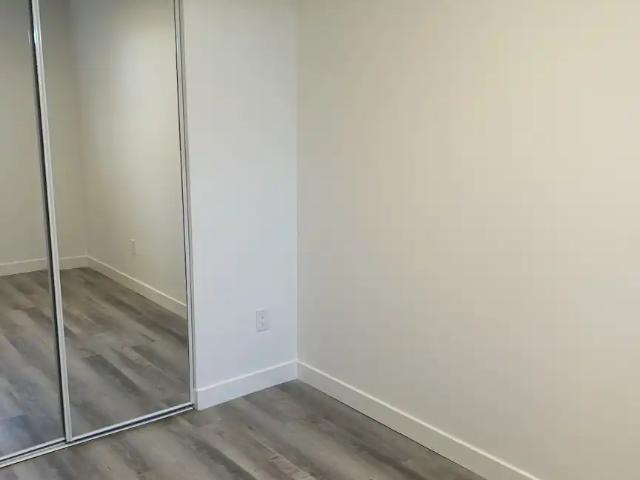 1 bedroom 1 bath walk in basement at Carrington Blvd for rent. Brand New