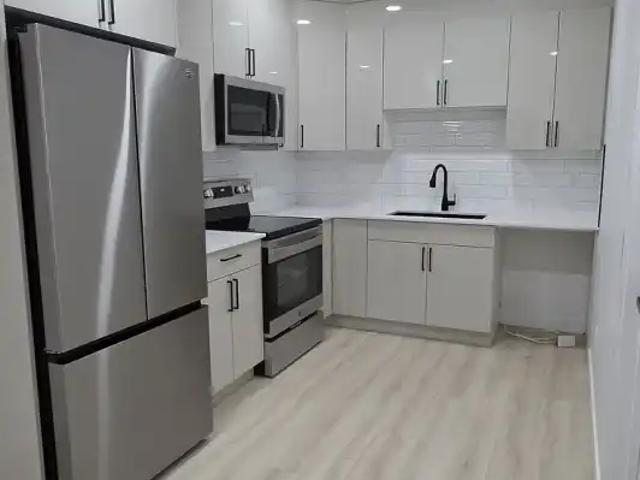 1 bedroom 1 bathroom basement in Rosemont community