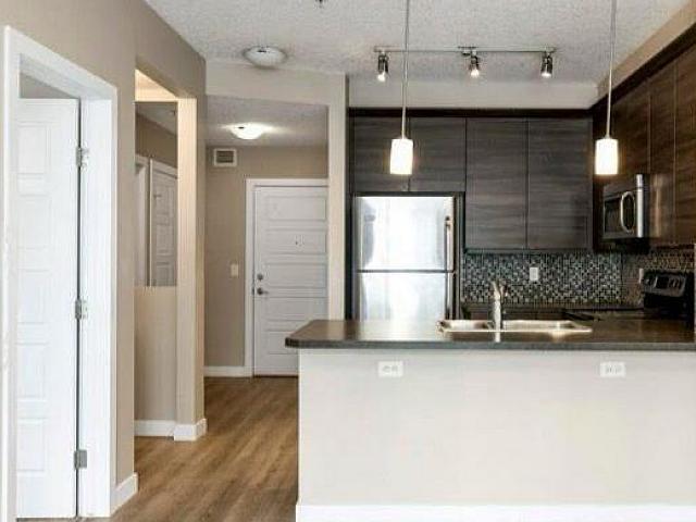 1 Bedroom 1 Bathroom For Rent In Ambleside Sw Area