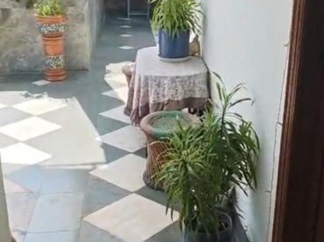 1 Bedroom 200 Sq.Yd. Builder Floor in Alaknanda Delhi Listing ID: #10024