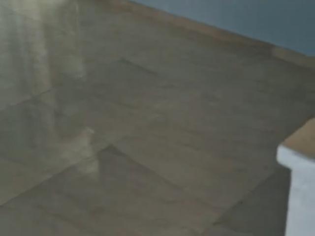1 Bedroom 510 Sq.Ft. Apartment in Dadar West Mumbai Listing ID: #10194