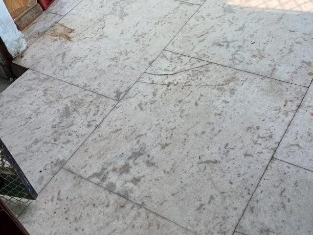 1 Bedroom 564 Sq.Ft. Apartment in Lajpat Nagar 4 Delhi Listing ID: #9509