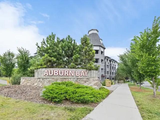 1 Bedroom Condo Calgary AB 102467784