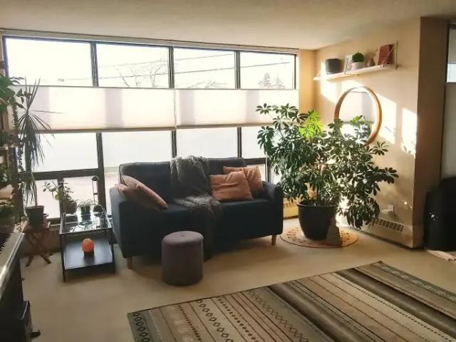 1 Bedroom Condo Calgary AB 104864141
