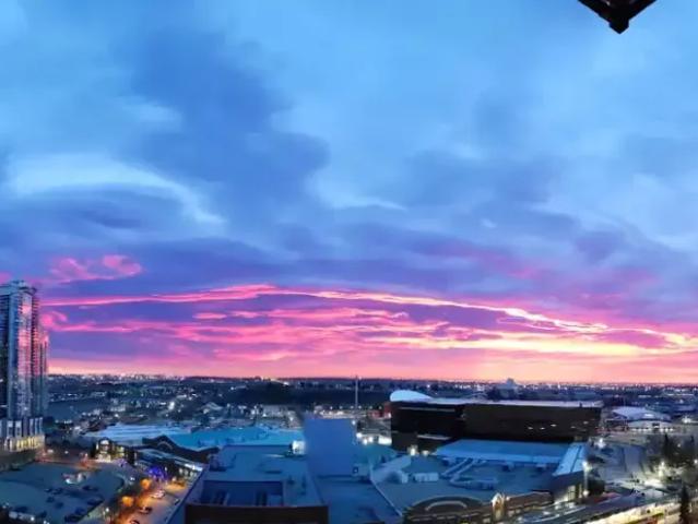 1 Bedroom Condo Calgary AB 104876647