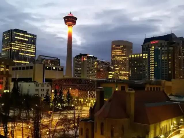 1 Bedroom Condo Calgary AB 104180518
