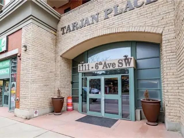 1 Bedroom Condo Calgary AB 104180253