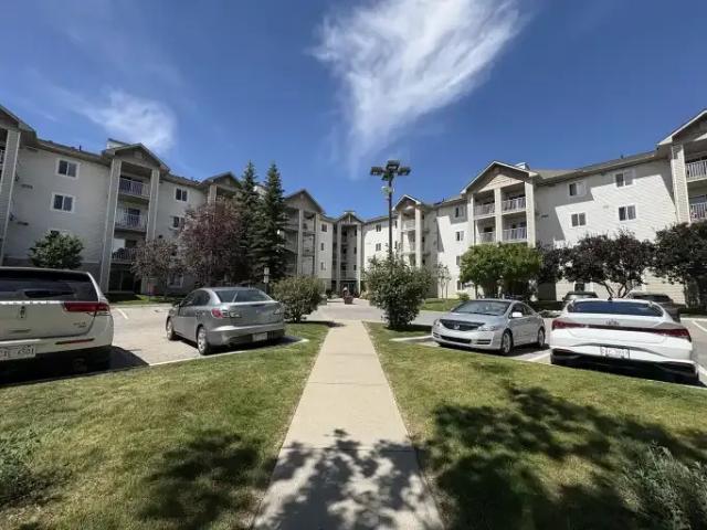 1 Bedroom Condo Calgary AB 104182154