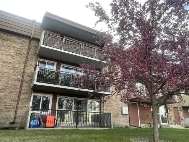1 Bedroom Condo Calgary AB 105410794