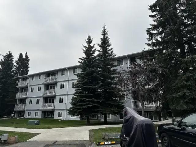1 Bedroom Condo Calgary AB 105004660