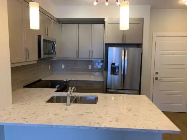 1 Bedroom Condo Calgary AB 105249023