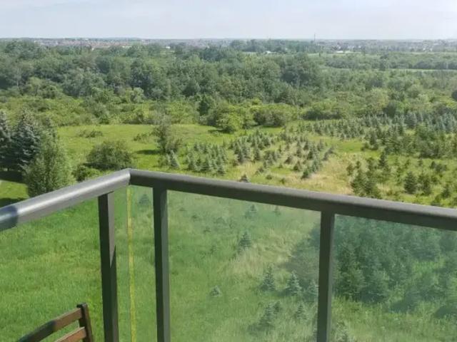 1 Bedroom Condo Brampton ON LS102394886
