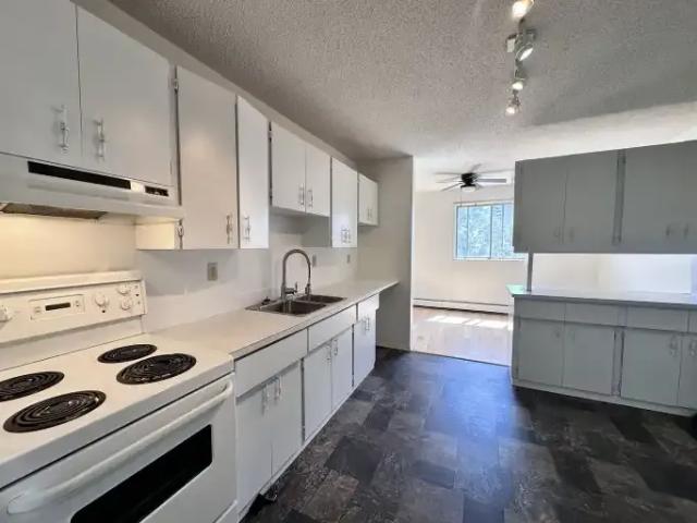 1 Bedroom Condo Edmonton AB 104181836