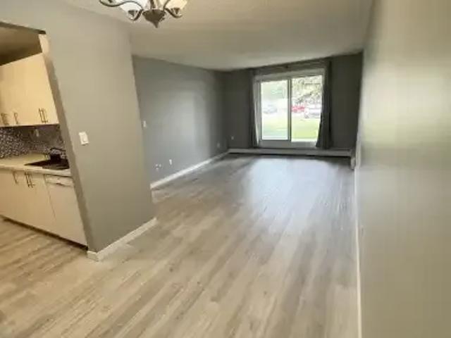 1 Bedroom Condo Edmonton AB 104257211