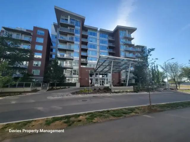1 Bedroom Condo Edmonton AB 105087738