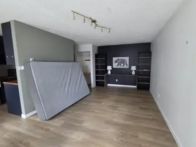 1 Bedroom Condo Edmonton AB 102883489