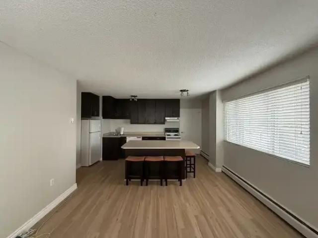 1 Bedroom Condo Edmonton AB 103179041