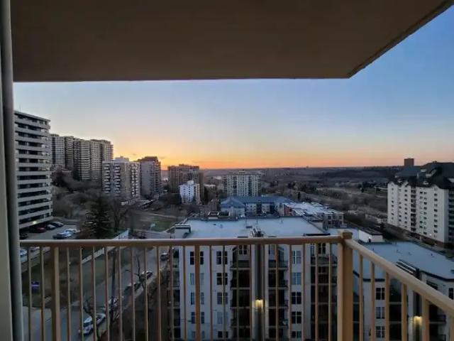 1 Bedroom Condo Edmonton AB LS102847071