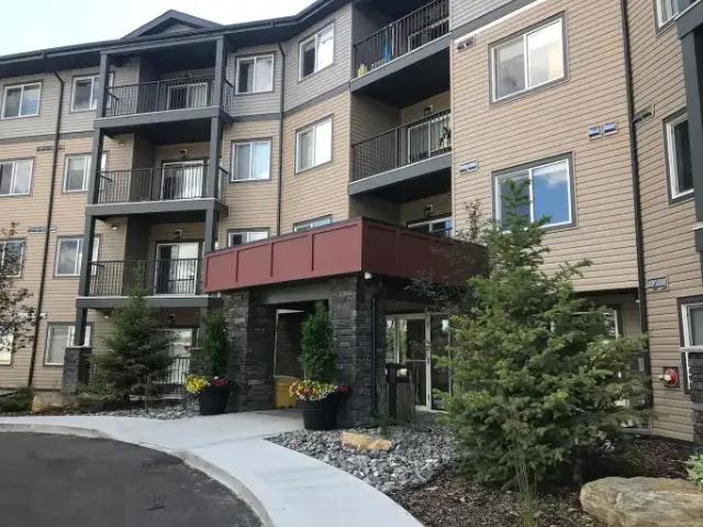 1 Bedroom Condo Edmonton AB LS105281843